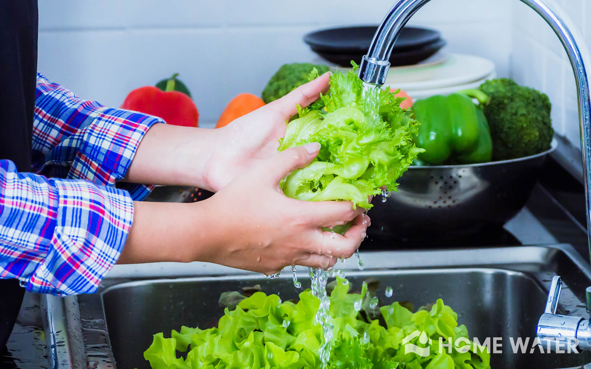 Home Water - Whole House Water Filter